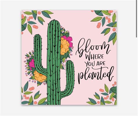 Sticker/ Bloom Where You Are Planted Sticker/ Cactus Sticker/ Desert Sticker/ Laptop Sticker 