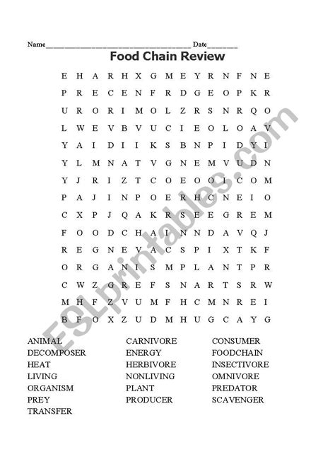 English Worksheets Food Chain Word Search
