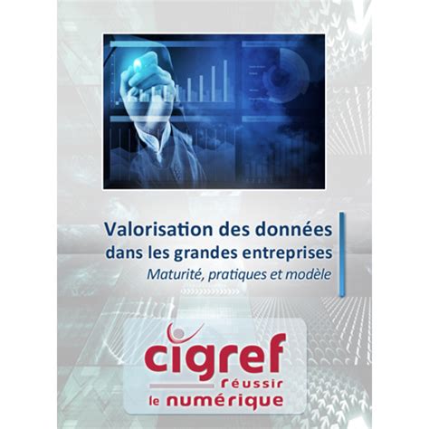 Guide Cigref 2016 Valorisation Des Données Maturité Pratiques Et