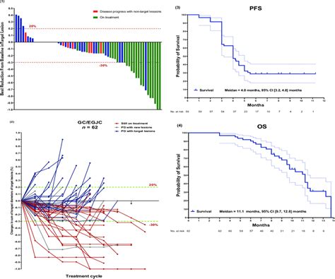 Efficacy Analysis Waterfall Plot Of Best Percentage Change From