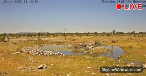 Live Webcam Namibia Kambaku Wildlife Reserve Skylinewebcams Hot Sex
