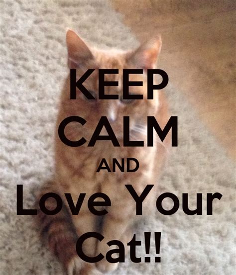 Keep Calm And Love Your Cat Poster Poppy Lane Keep Calm O Matic