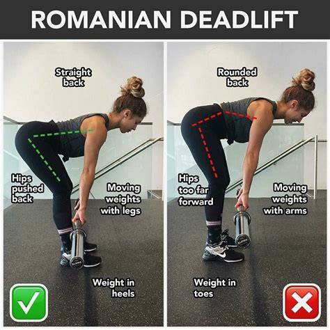 Romanian Deadlift Muscles Worked Exercise Of The Day Dumbbell