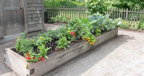 Why Raised Garden Bed Liners Are A Necessary Layer Vegetable Garden