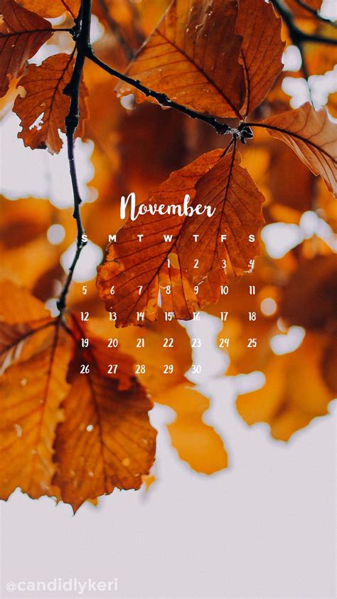 Golden Changing Fall Leaves November Calendar 2017