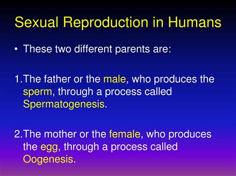 Ppt Reproduction In Humans Spermatogenesis Oogenesis Conception