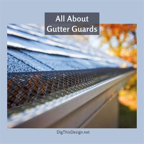 Gutter Guards Are They Worth It Dig This Design