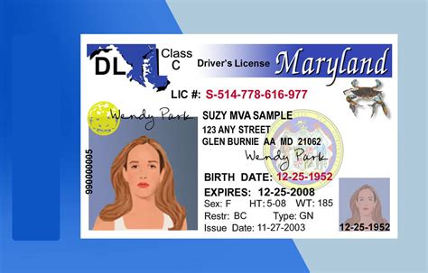 Maryland Drivers License Psd Template Download Photoshop File