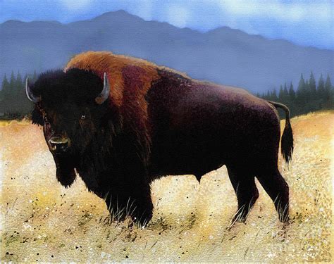 Big Bison Painting By Robert Foster