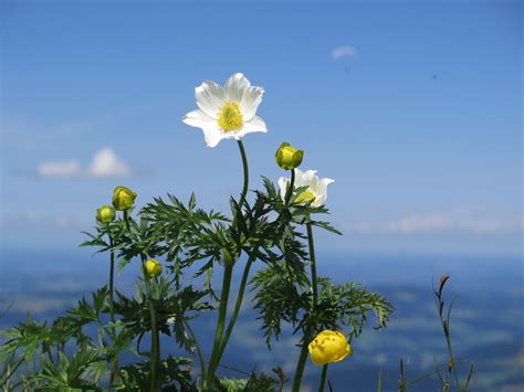 Geben sie jetzt die erste bewertung ab! Jin Shin Jyutsu Seminar/webinar - mutter-erde-heilts Webseite!