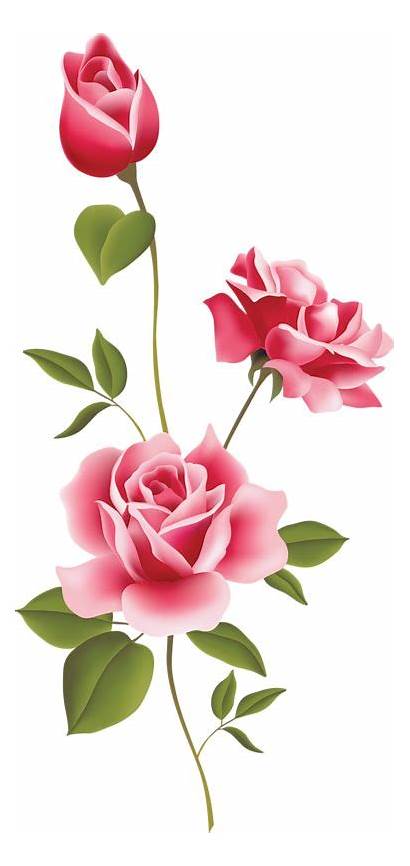 Rose Clipart Double Roses Pink Stencil Clipground