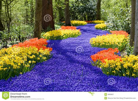 Use them in commercial designs under lifetime, perpetual & worldwide rights. Spring flowers stock image. Image of bloom, petals, garden ...