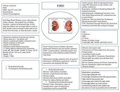 Esrd Concept Map On End Stage Renal Failure Warning Tt Undefined