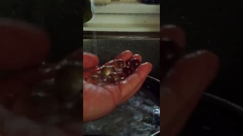 No more wasting pretty marbles, yay! Japanese Ramune 10 Clear Marbles-07 - YouTube