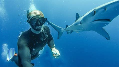 How To Go Scuba Diving With Sharks And Be With Them Diving Info
