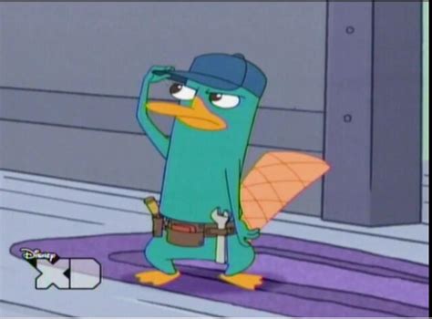 Image Platypus Plumber Phineas And Ferb Wiki Fandom Powered