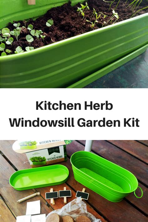Kitchen Herb Windowsill Garden Kit Review