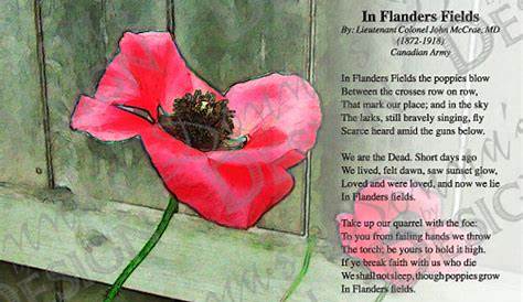 Print of Poem in Flanders Fields 5x7 Inches - Etsy
