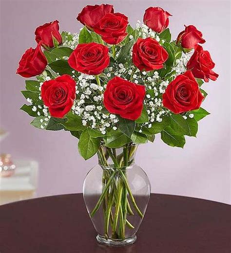 One Dozen Long Stemmed Red Roses Dunbarton Florist Blushing Blooms