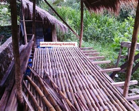 Untuk melihat detail lagu kandang kambing tradisional klik salah satu judul yang cocok. 20+ Trend Terbaru Panggung Sederhana Dari Bambu - Purify Me