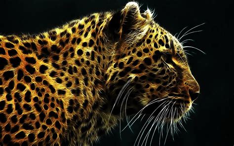 70 Cheetah Background Pictures