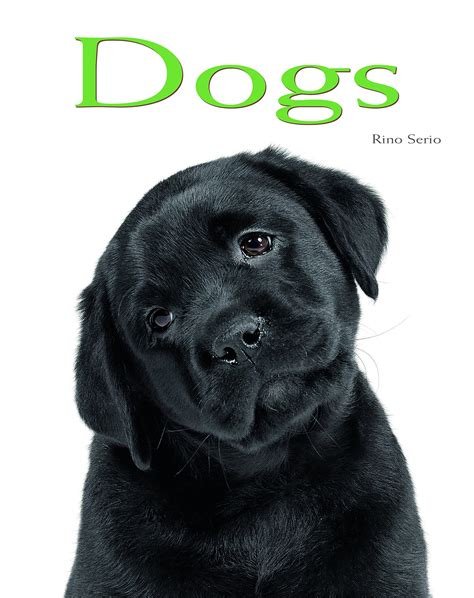 Dogs Pocket Book Rino Serio