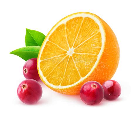 Orange And Cranberries Stock Image Image Of Food Clipping 85980947