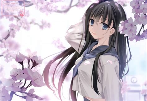 Wallpaper Anime Girl Cherry Blossom Black Hair School