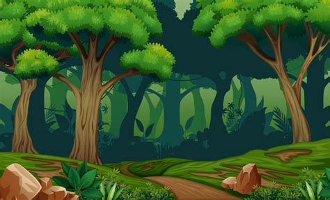 Deep Forest Scene With Trail In The Woods Illustration 6079540 Vector