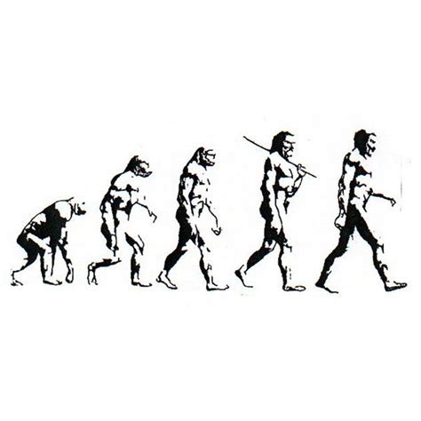 Human Evolution Drawing At Explore Collection Of