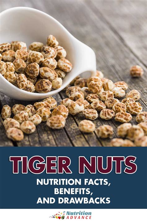 Tiger Nut Nutrition Facts Blog Dandk