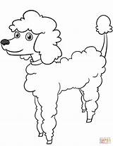 Coloring Poodle Cartoon Printable Adult Dogs Drawing Sketch Templates Template Categories sketch template