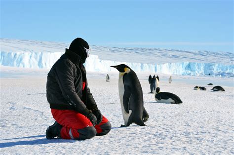 Antarctica The Southernmost Continent Live Science