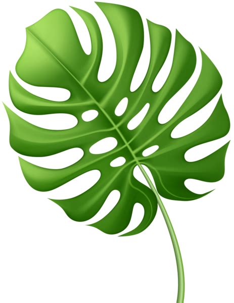 Large Tropical Leaf Png Clip Art Image Leaves Tropical Leaves Art