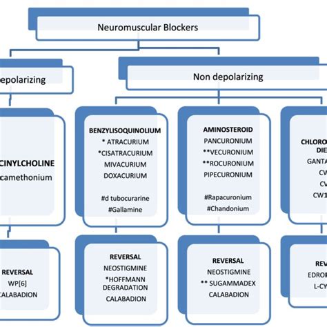 Classification Of Neuromuscular Blocking Agents With Their Respective