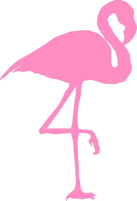 Flamingo Bird Silhouette Free Vector Graphic On Pixabay