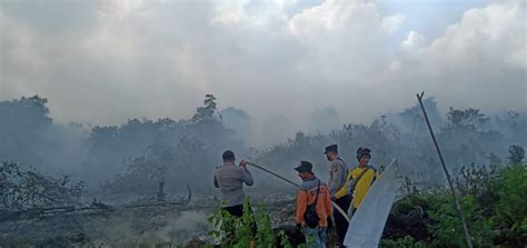 Puncak Kemarau Kebakaran Hutan Dan Lahan Meluas Di Riau Mongabay Co