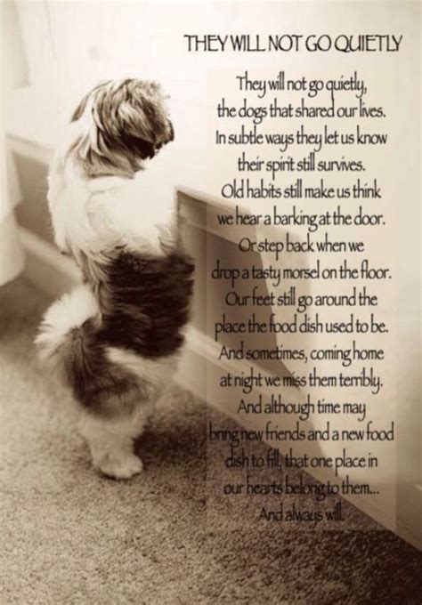 Love This Dog Poems Pet Grief Dog Quotes
