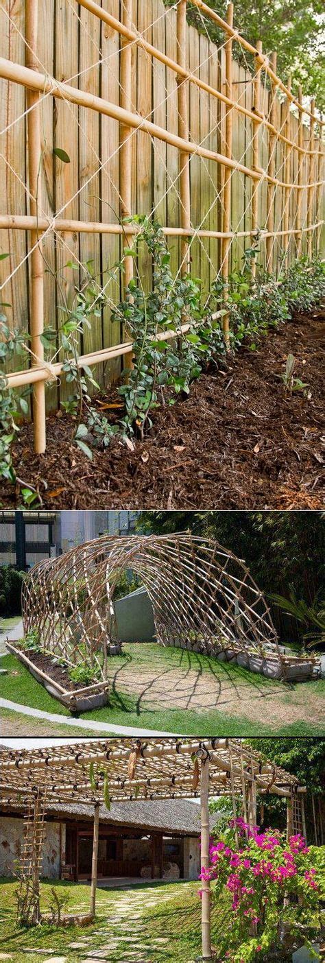 24 Bamboo Trellis Ideas Bamboo Trellis Garden Trellis Trellis