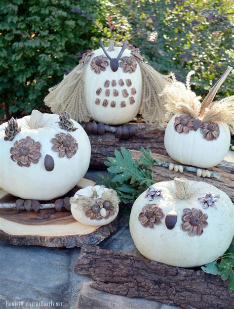 What A Hoot No Carve Pumpkin Owls Home Is Where The