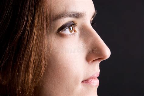 Beautiful Woman Face Side View Stock Photo Image Of Female Human