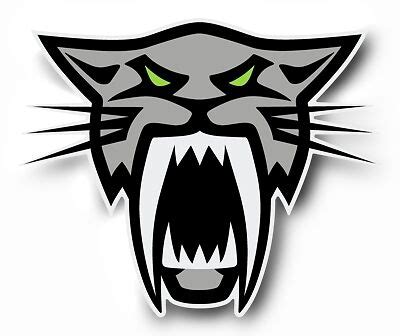 Some logos are clickable and available in large sizes. Team Arctic Cat Head Sabercat Firecat decal sticker F8 | eBay