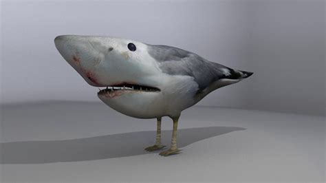 Sharkgull 3d By Kei1 On Deviantart