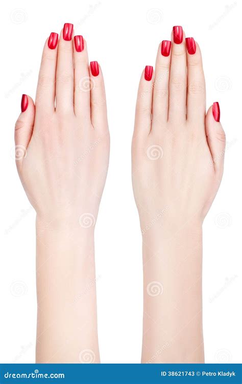 Beautiful Female Hands Stock Image Image Of Female 38621743