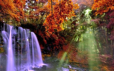 Beautiful Autumn Waterfall Autumn Waterfall Nature Trees Ray