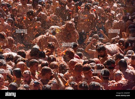 Tomato Throwing Festival Hi Res Stock Photography And Images Alamy