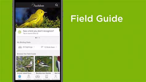 How To Use The Audubon Bird Guide App Youtube