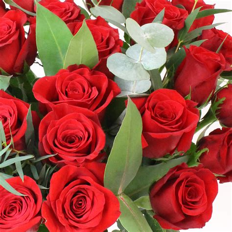 24 Stem Freedom Red Roses Flower Bouquet Costco Uk
