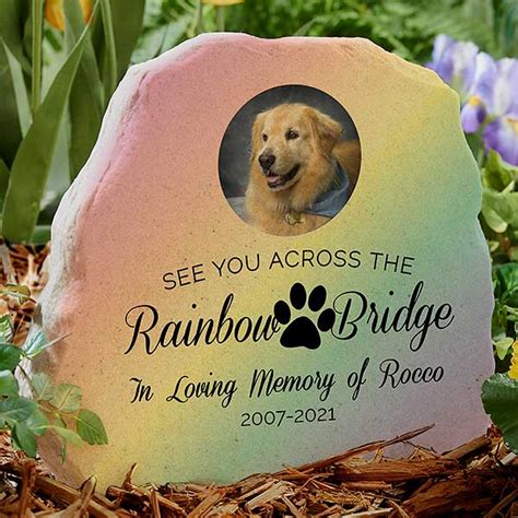 What Is The Rainbow Bridge For Dogs