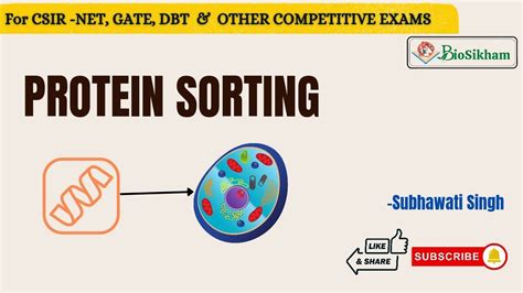 Protein Sorting Cell Biology Youtube